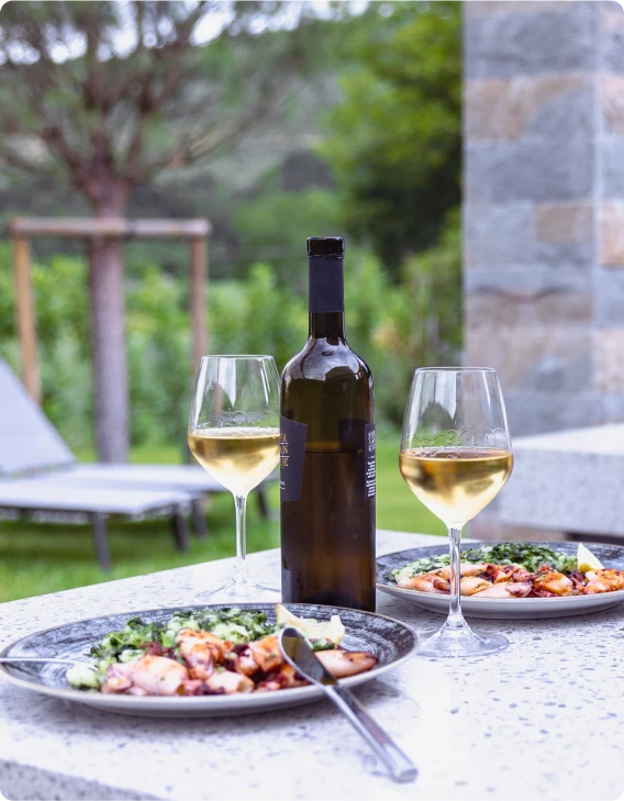 Outside Kitchen - Wine Food - Vila Olivetum